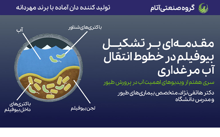 آیا سرکه می‌تواند بیوفیلم را از بین ببرد؟